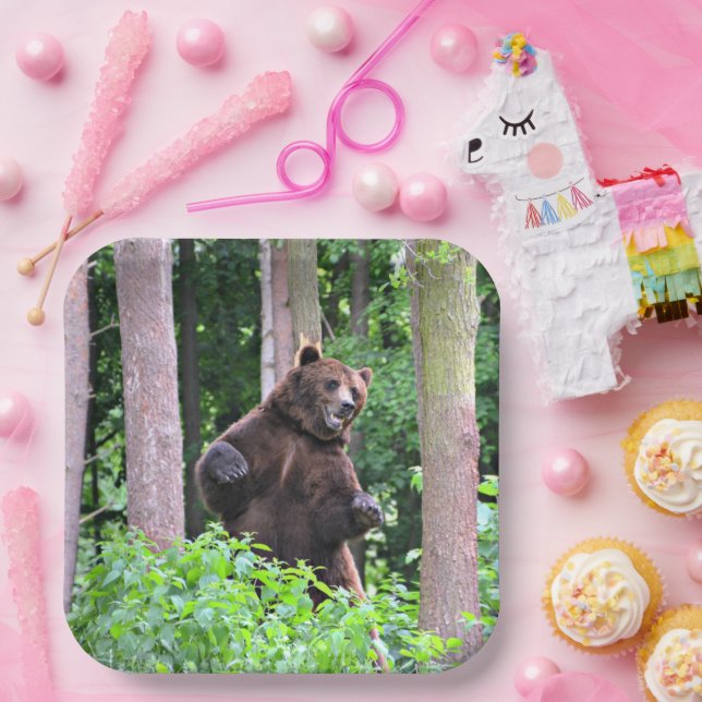 Assiettes en papier avec un grizzli debout (Fête)
