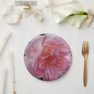 Assiettes en papier rose rose pour votre fête ou é