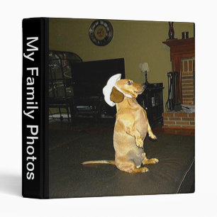 Assis Joli Classeur Dachshund