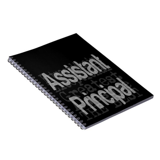 Assistant Principal Extraordinaire Notebook (Right Side)