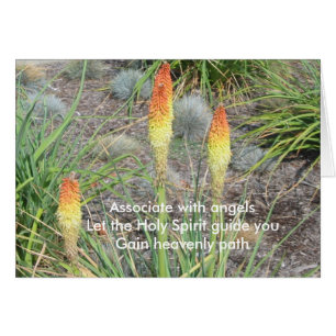 Associé avec des anges