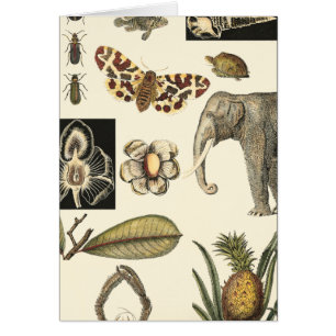 Assorted Animals Painted on Cream Background