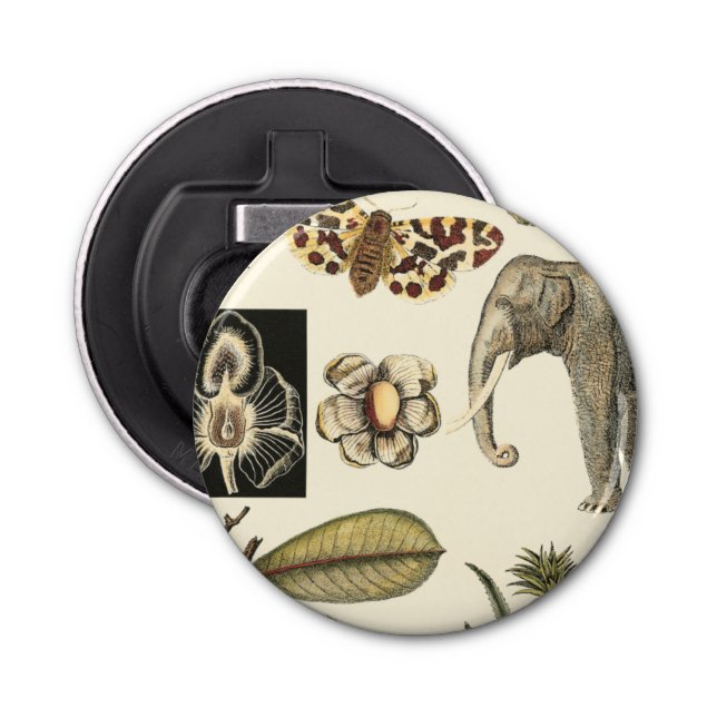 Assorted Animals Painted on Cream Background Bottle Opener (Front)
