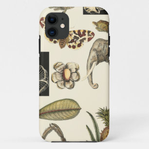 Assorted Animals Painted on Cream Background iPhone 11 Case