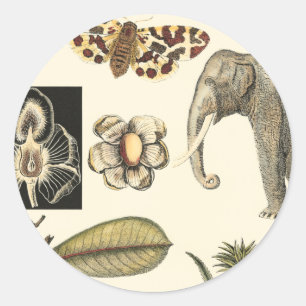 Assorted Animals Painted on Cream Background Classic Round Sticker