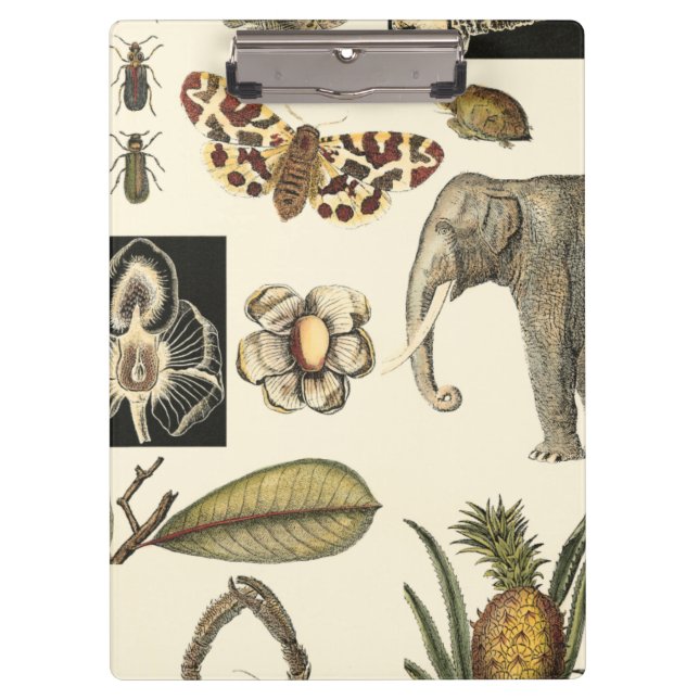 Assorted Animals Painted on Cream Background Clipboard (Front)