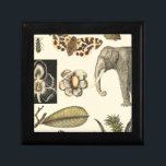 Assorted Animals Painted on Cream Background Gift Box<br><div class="desc">The wonders of nature are shown in this piece by Vision Studio. Creepy insects mix with an elephant,  butterfly and other assorted animals. If you love nature this is the print for you!</div>