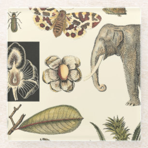 Assorted Animals Painted on Cream Background Glass Coaster