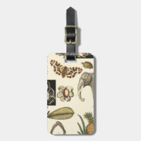 Assorted Animals Painted on Cream Background