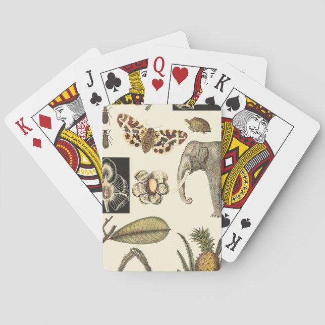 Assorted Animals Painted on Cream Background Playing Cards (Back)
