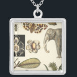 Assorted Animals Painted on Cream Background Silver Plated Necklace<br><div class="desc">The wonders of nature are shown in this piece by Vision Studio. Creepy insects mix with an elephant,  butterfly and other assorted animals. If you love nature this is the print for you!</div>