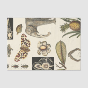 Assorted Animals Painted on Cream Background Tissue Paper