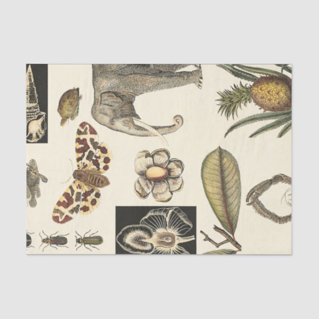 Assorted Animals Painted on Cream Background Tissue Paper (Front)