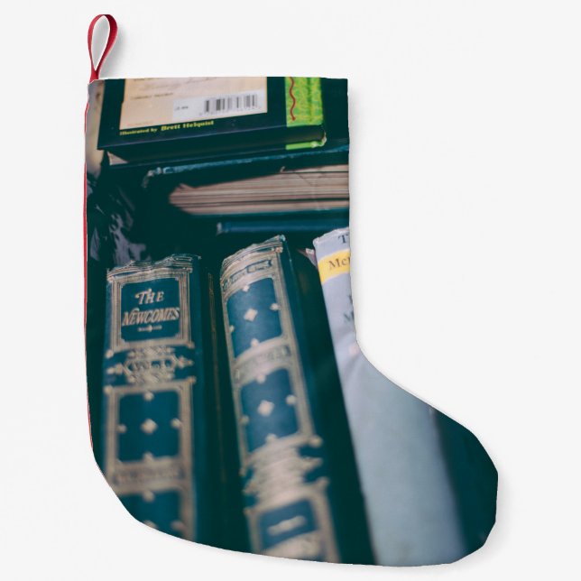ASSORTED BOOK LOT SMALL CHRISTMAS STOCKING (Front)