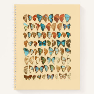 Assorted Butterfly Hardcover Spiral Sketchbook Notebook