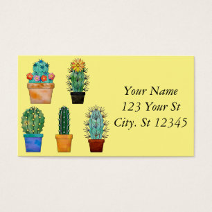 Assorted Cactus Plants Thunder_Cove