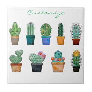 Assorted Cactus Plants Thunder_Cove Tile