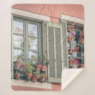 ASSORTED-COLOR FLOWERS IN VASE NEAR WINDOW SHERPA BLANKET