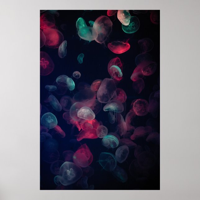 ASSORTED-COLOR JELLYFISH PAINTING POSTER (Front)