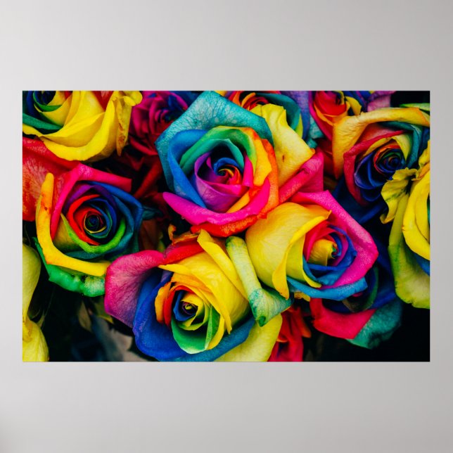 Assorted-colour petaled flowers poster (Front)