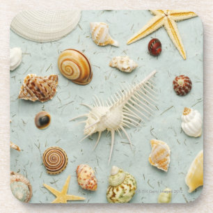 Assorted seashells on blue background coaster