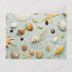 Assorted seashells on blue background postcard