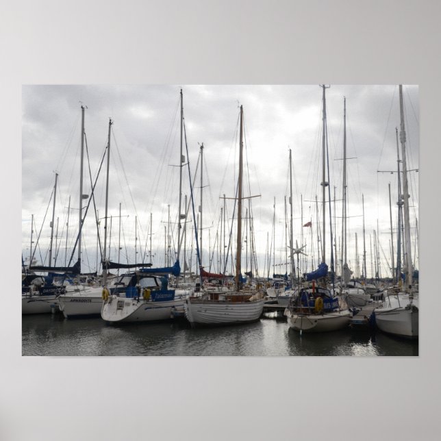 Assorted Yachts Poster (Front)