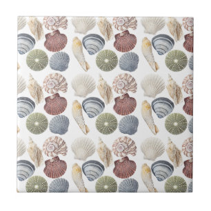 Assortment Of Shells Coastal Decor Tile
