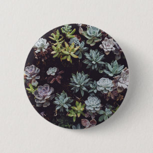 Assortment of Small Succulent Plants 2 Inch Round Button