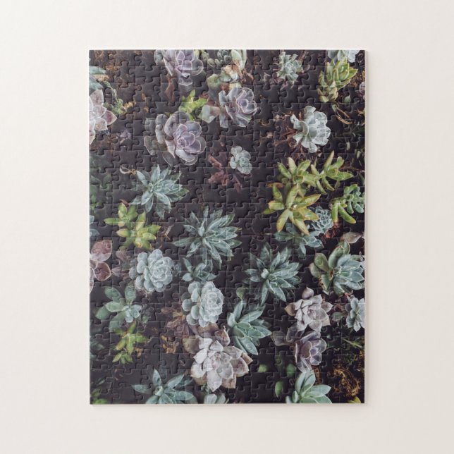 Assortment of Small Succulent Plants Jigsaw Puzzle (Vertical)