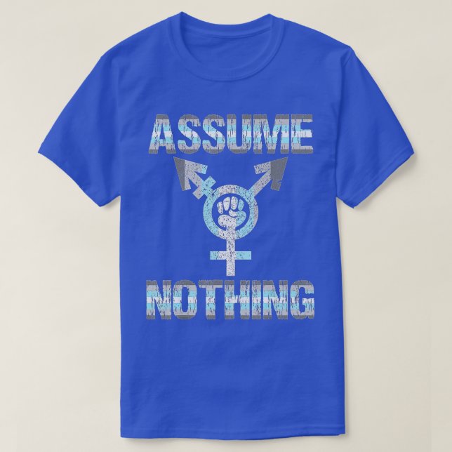 ASSUME NOHING  Demiboy Flag  Bigender Pride  T-Shirt (Design Front)