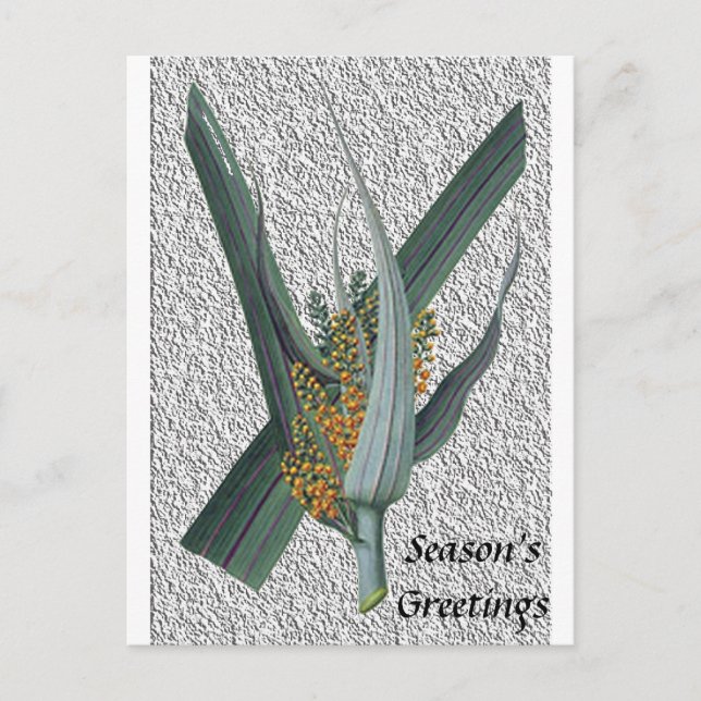 Astelia Nervosa Postcard (Front)