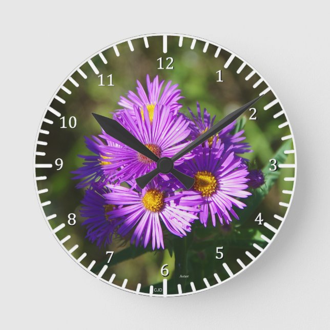 Aster Clock (Front)