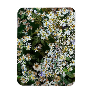 ASTER FLOWERS MAGNET