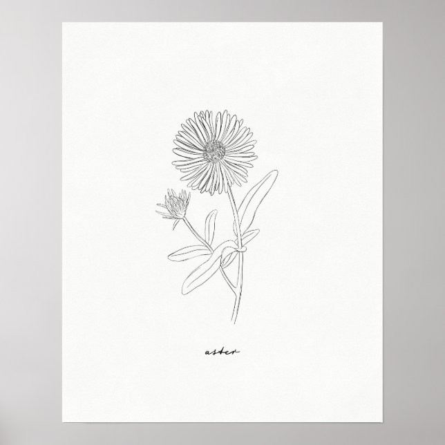 Aster Line Drawing Print - Hand-drawn ink flower (Front)