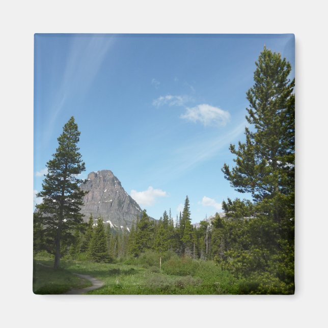 Aster Park Trail at Glacier National Park Magnet (Front)