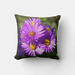 Aster pillow