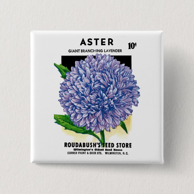 Aster Vintage Seed Packet 2 Inch Square Button (Front)