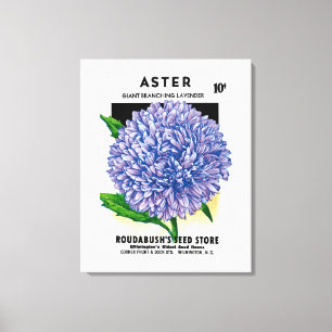 Aster Vintage Seed Packet Canvas Print