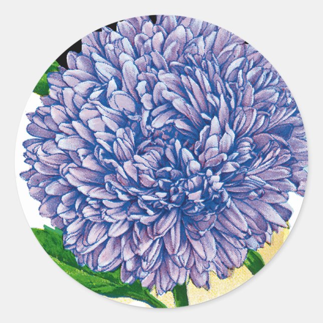 Aster Vintage Seed Packet Classic Round Sticker (Front)