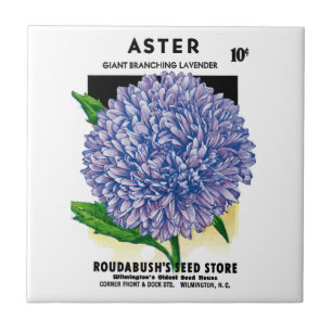 Aster Vintage Seed Packet Tile