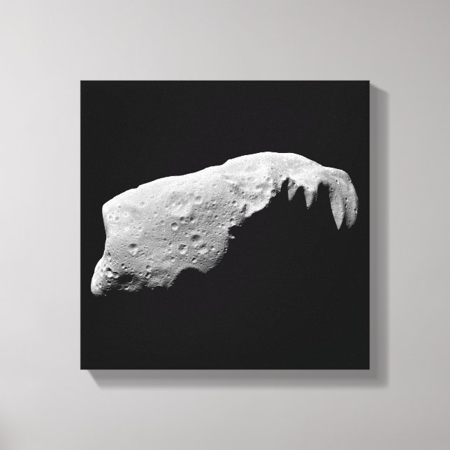 Asteroid 243 Ida Canvas Print (Front)