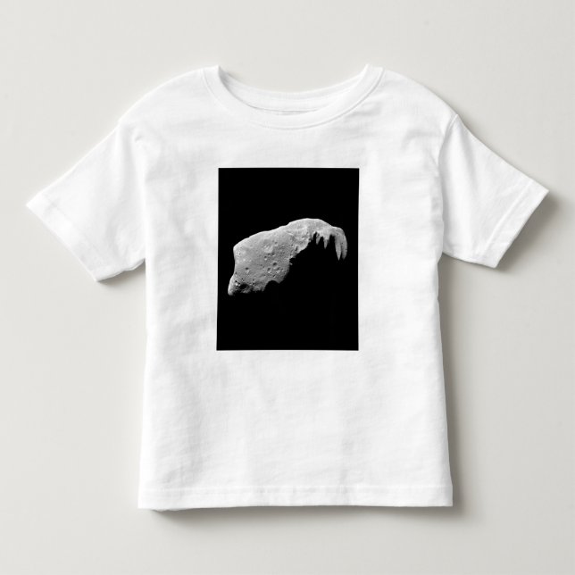 Asteroid 243 Ida Toddler T-shirt (Front)