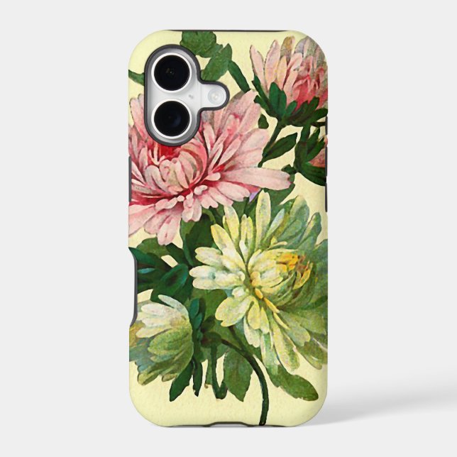 Asters (Back)