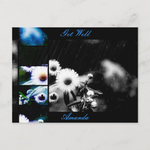 Asters Aglow Collage Postcard *Customize*