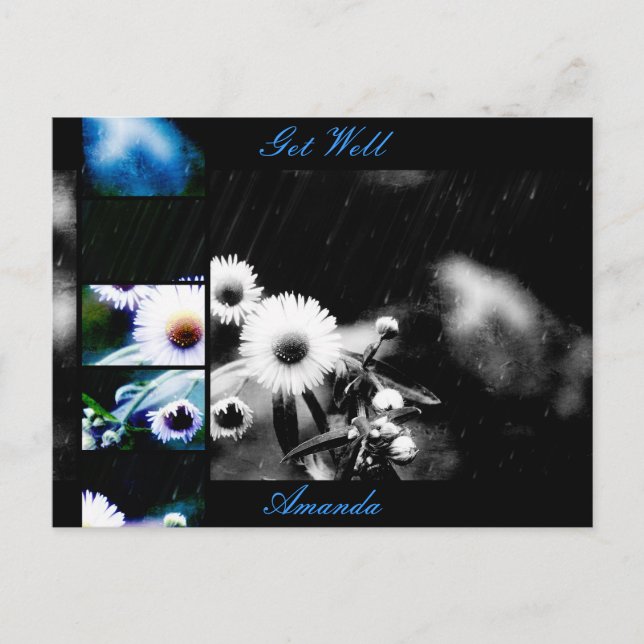 Asters Aglow Collage Postcard *Customize* (Front)