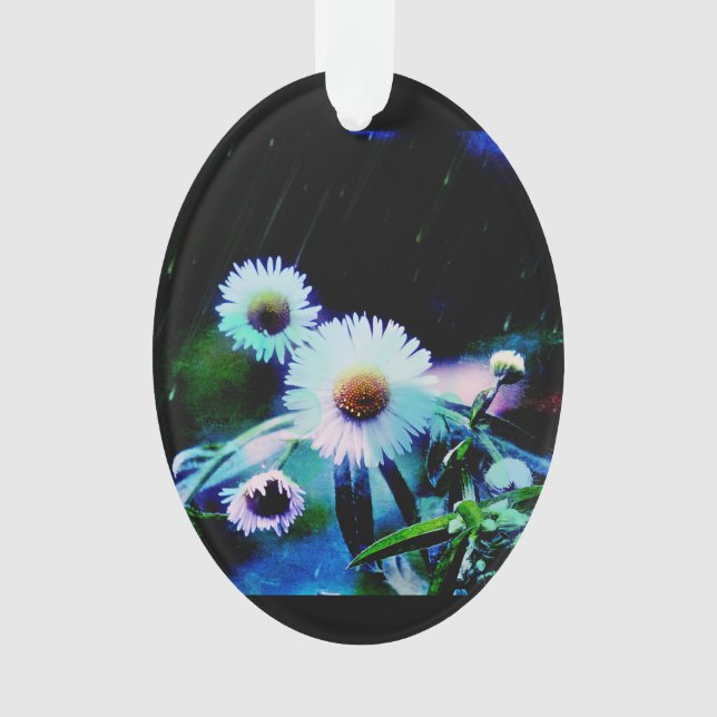 Asters Aglow Oval Ornament (Front)