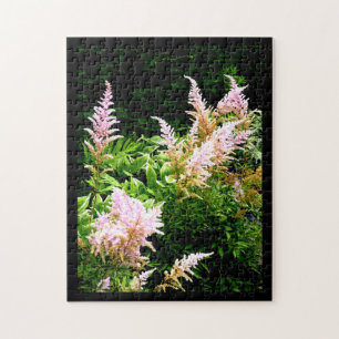 Astilbe Jigsaw Puzzle