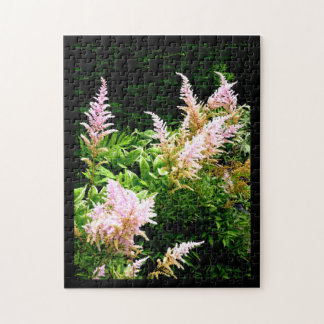 Astilbe Jigsaw Puzzle