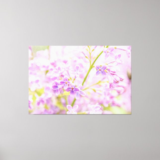 Astonishing Lilac Flowers Canvas Print (Front)